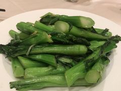 生炒菜心-沙龙酒家