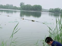 -大兴滨河森林公园