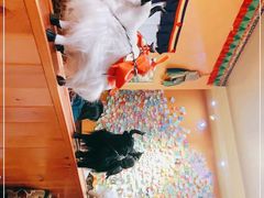 -如意林卡藏餐吧(大昭寺店)