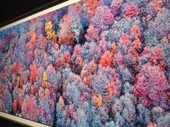 -罗红摄影艺术馆