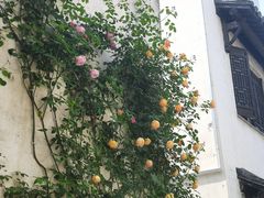 -惠山古镇·寄畅园