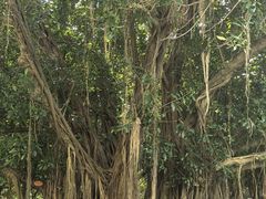 -北海市海滨公园