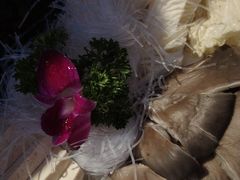 -额尔敦传统涮(公园西路店)