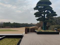 -苏宁钟山国际高尔夫酒店大堂酒廊