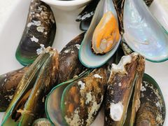 -锐记美食店·现捞海鲜(闸坡店)