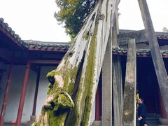 -太平天国侍王府