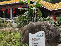 -广州市帽峰山景区