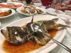清蒸石斑鱼-海棠湾九号度假酒店-融荟家和中餐厅