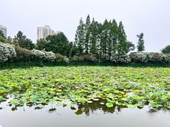 -上海中谷小南国花园酒店