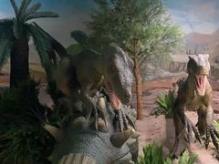 -国家自然博物馆