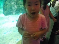 -锦艺城海洋馆
