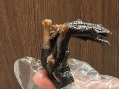 -金丹酱板鸭营业厅(紫缘路店)