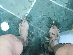 -兴芮温泉度假区