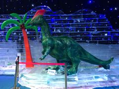 -宁波冰雪大世界(北仑区)