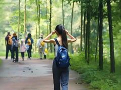 -七曲山风景区