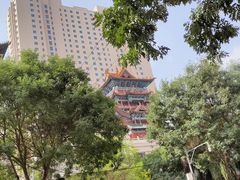 -新光辉布料市场布料城