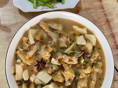 -煲来饱去冷水鱼