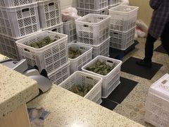 -璐坊粽王(复兴中路店)