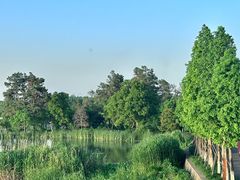 -东湖磨山景区