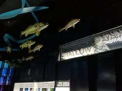 -同济大学四平路校区深海探索馆
