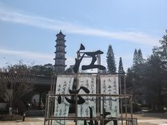 -江心屿景区