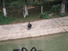-东湖景区