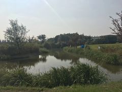 -嘉北郊野公园北游客中心-地上停车场