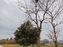 -良渚古城遗址公园