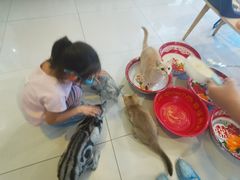 -平行世界·猫咖(首经贸店)