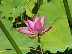 -永定河休闲森林公园