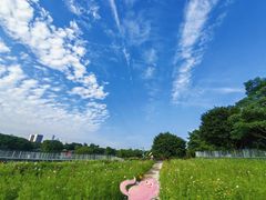 -海珠湖公园