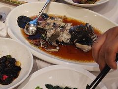 -骏莱海鲜鱼港(五角场店)