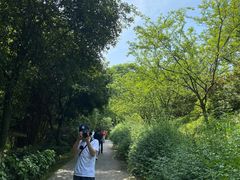 -南山植物园