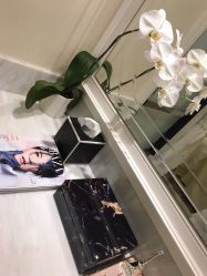 -奥斯芬欧系贵族SPA