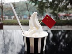 -JW德国冻酸奶Frozen Yogurt(龙湖成都滨江天街店)