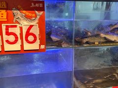 -鱼酷活鱼烤鱼(南京水游城店)