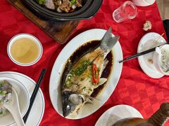 -先鲜鲫鱼粥