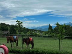-窦圌山风景区