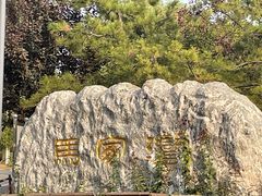 -马家湾湿地公园