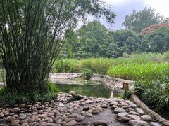 -成都市活水公园