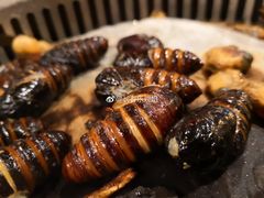 -比尔森韩式烤肉自助(绿园店)