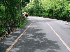 -西双版纳原始森林公园