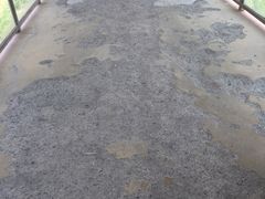 -新疆天山野生动物园