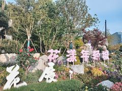 -春花秋色城市公园