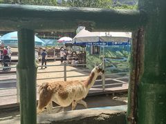 -西安秦岭野生动物园