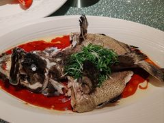 清蒸石斑鱼鱼-南海渔村(珠江新城店)