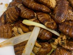干煸蚕蛹-新洪记·丽久饭店(铁西店)