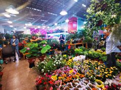 -双季花艺园艺市场(浦东店)