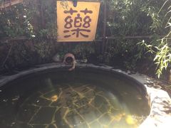 -仁爱团泊湖温泉中心