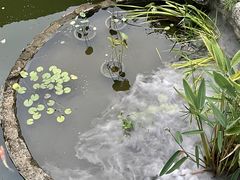 -翠园十八号庭院餐厅